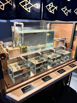 すみだ水族館に投稿された画像（2021/12/29）