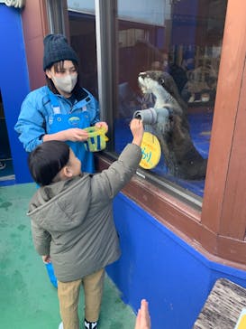 ゼロ距離水族館 伊勢シーパラダイスに投稿された画像（2021/12/29）