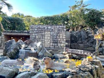 伊豆シャボテン動物公園に投稿された画像（2021/12/29）