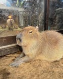 伊豆シャボテン動物公園に投稿された画像（2021/12/29）