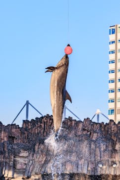名古屋港水族館に投稿された画像（2021/12/29）