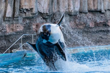 名古屋港水族館に投稿された画像（2021/12/29）