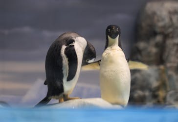 名古屋港水族館に投稿された画像（2021/12/29）