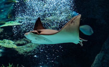 名古屋港水族館に投稿された画像（2021/12/29）