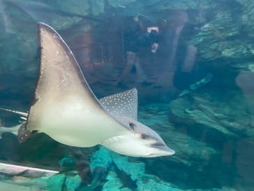 株式会社Gに投稿された画像（2021/12/29）