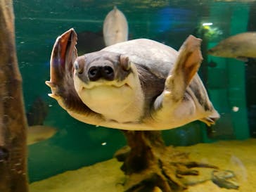 カワスイ 川崎⽔族館に投稿された画像（2021/12/29）