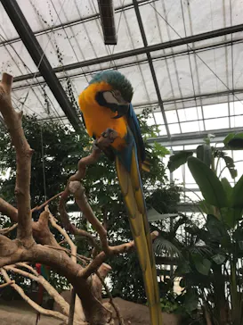 神戸どうぶつ王国に投稿された画像（2021/12/29）