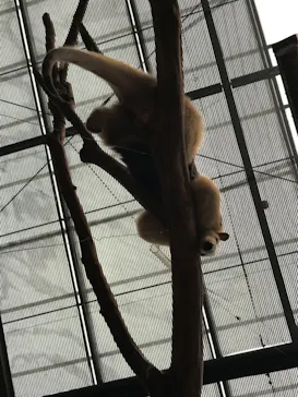 神戸どうぶつ王国に投稿された画像（2021/12/29）