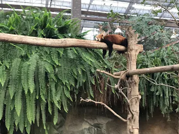 神戸どうぶつ王国に投稿された画像（2021/12/29）