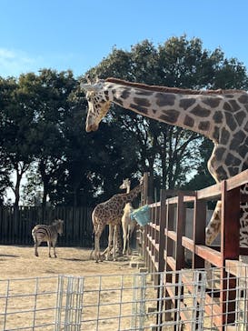 東武動物公園に投稿された画像（2021/12/29）