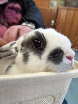 東武動物公園に投稿された画像（2021/12/29）