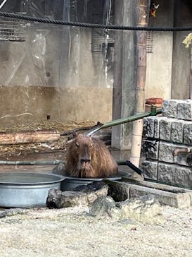 東武動物公園に投稿された画像（2021/12/29）