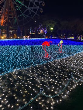 東武動物公園に投稿された画像（2021/12/29）