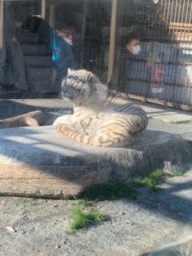 東武動物公園に投稿された画像（2021/12/29）