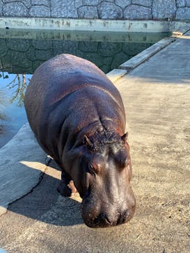 東武動物公園に投稿された画像（2021/12/29）