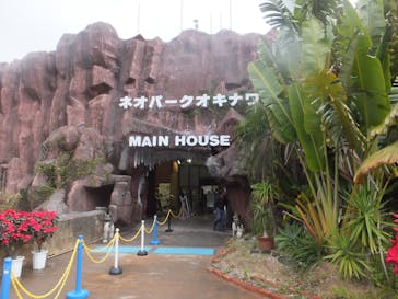 ネオパークオキナワに投稿された画像（2021/12/29）