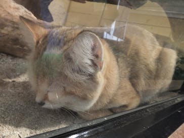 ネオパークオキナワに投稿された画像（2021/12/29）