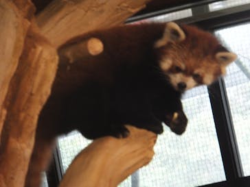 ネオパークオキナワに投稿された画像（2021/12/29）