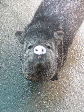 ネオパークオキナワに投稿された画像（2021/12/29）