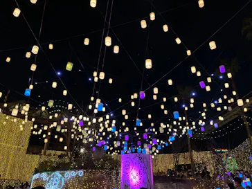 ひらかたパークに投稿された画像（2021/12/29）