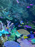 サンシャイン水族館に投稿された画像（2021/12/29）
