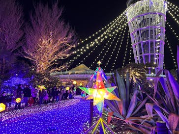 江の島シーキャンドルに投稿された画像（2021/12/29）