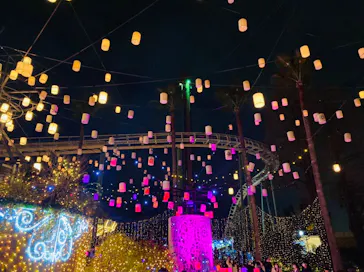 ひらかたパークに投稿された画像（2021/12/29）