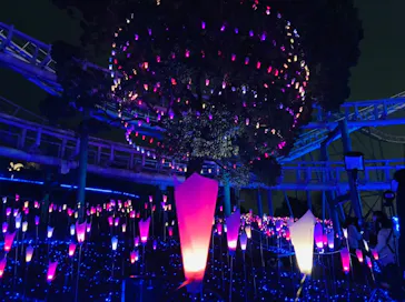 ひらかたパークに投稿された画像（2021/12/29）