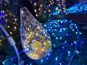 江の島シーキャンドルに投稿された画像（2021/12/29）