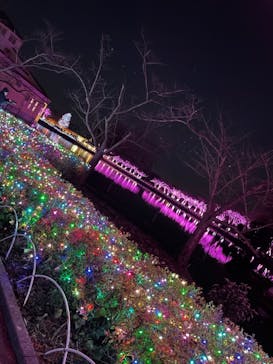 東武動物公園に投稿された画像（2021/12/29）