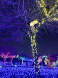 伊豆ぐらんぱる公園に投稿された画像（2021/12/29）