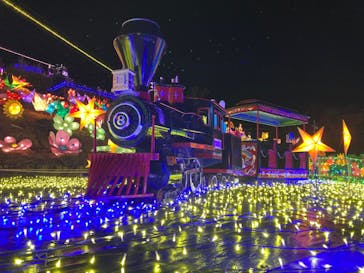 伊豆ぐらんぱる公園に投稿された画像（2021/12/29）