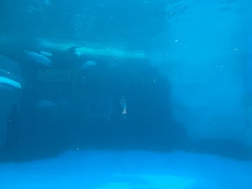 名古屋港水族館に投稿された画像（2021/12/29）