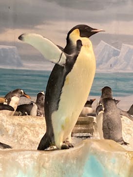 名古屋港水族館に投稿された画像（2021/12/29）