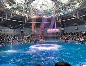 マクセル アクアパーク品川に投稿された画像（2021/12/29）