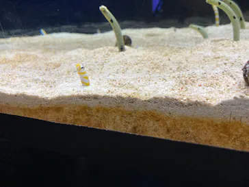 すみだ水族館に投稿された画像（2021/12/29）