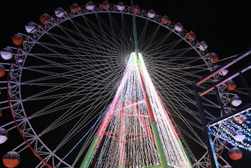 さがみ湖MORI MORIに投稿された画像（2021/12/29）