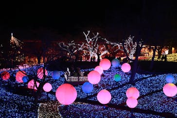 さがみ湖MORI MORIに投稿された画像（2021/12/29）