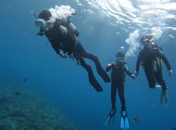 青の洞窟専門店　沖縄ダイビングショップ和に投稿された画像（2021/12/29）