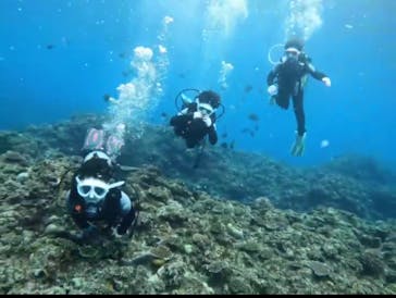 青の洞窟専門店　沖縄ダイビングショップ和に投稿された画像（2021/12/29）