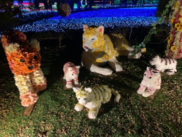 東武動物公園に投稿された画像（2021/12/29）