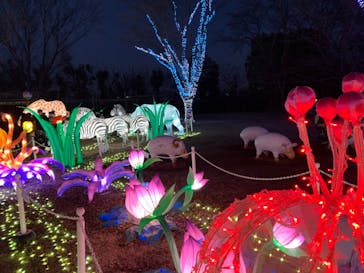 東武動物公園に投稿された画像（2021/12/29）