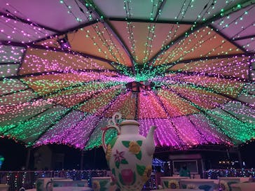 東武動物公園に投稿された画像（2021/12/29）