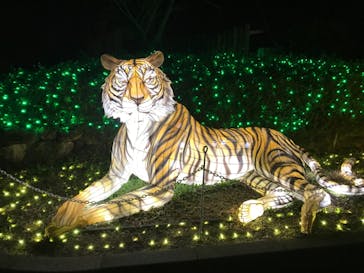 東武動物公園に投稿された画像（2021/12/29）