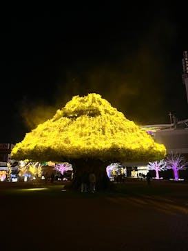 東京メガイルミに投稿された画像（2021/12/29）