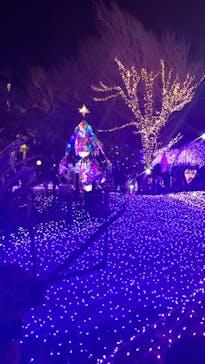 江の島シーキャンドルに投稿された画像（2021/12/29）