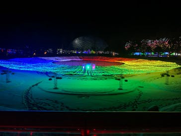 とっとり花回廊に投稿された画像（2021/12/29）