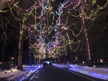 とっとり花回廊に投稿された画像（2021/12/29）