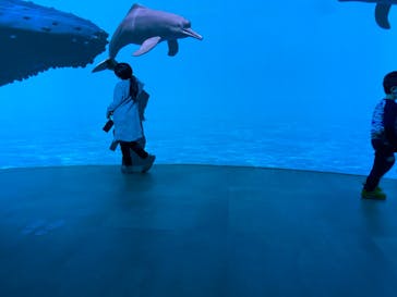 カワスイ 川崎⽔族館に投稿された画像（2021/12/29）