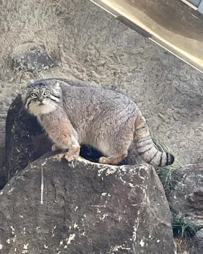 神戸どうぶつ王国に投稿された画像（2021/12/29）